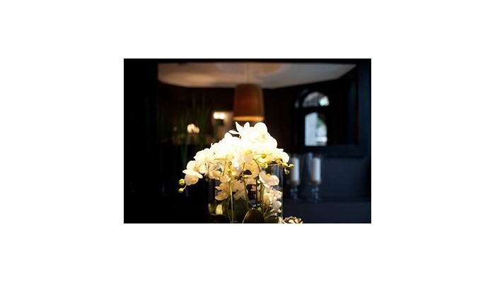 Frogner House Apartments Skovveien poza 4