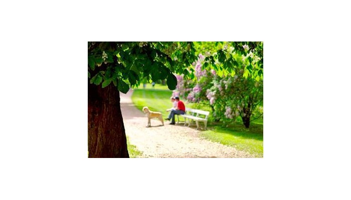 Frogner House Apartments poza 8